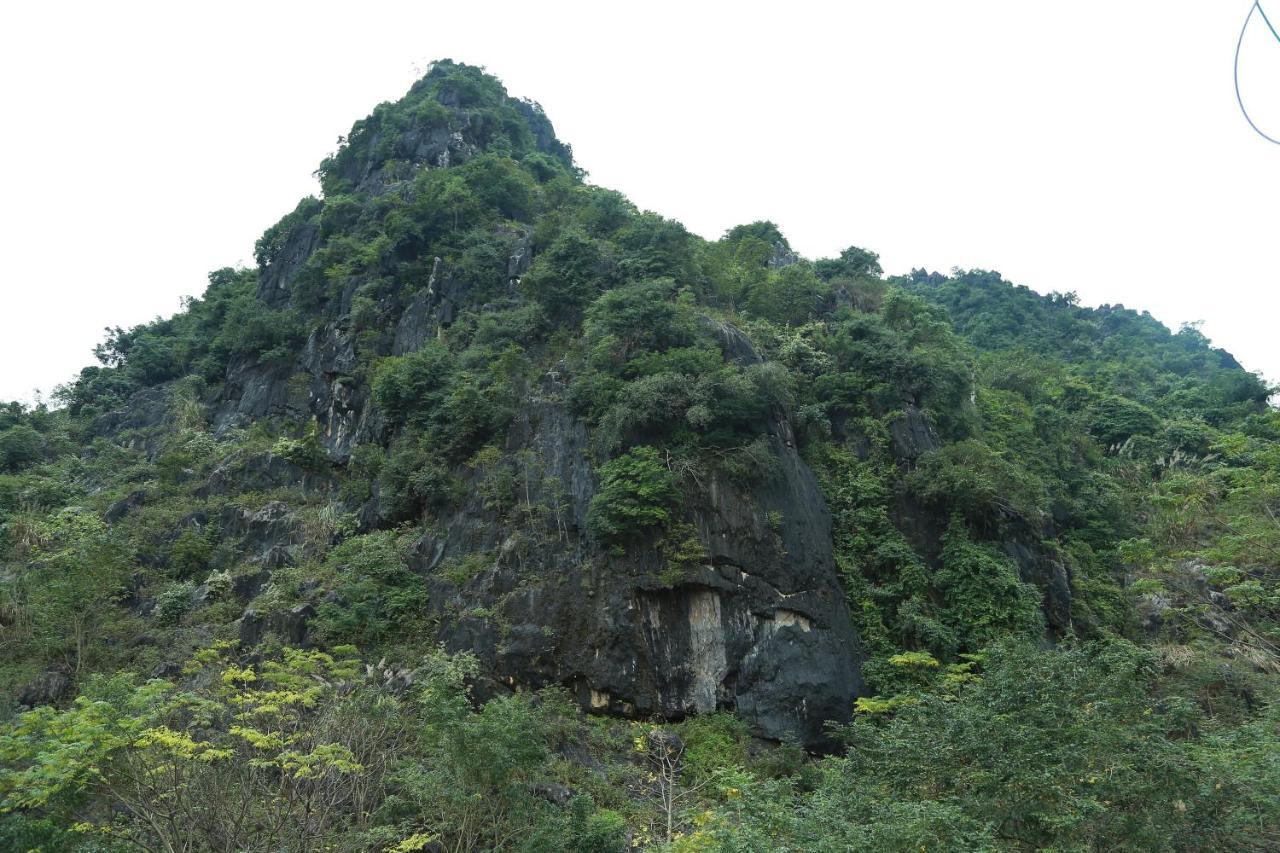 Gold Plus Hotel Phong Nha Luaran gambar