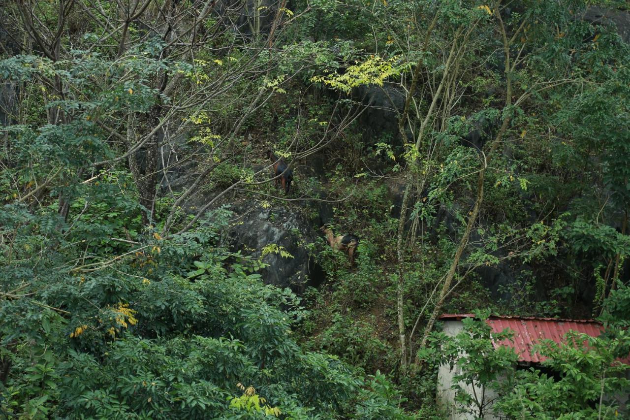 Gold Plus Hotel Phong Nha Luaran gambar
